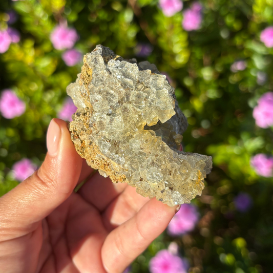 Glassy Clear Fluorite Cluster