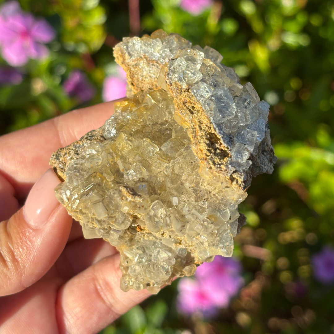 Glassy Clear Fluorite Cluster