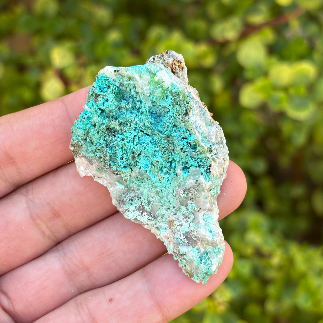 Aurichalcite Specimen