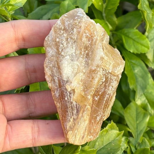 Honey Aragonite Specimen