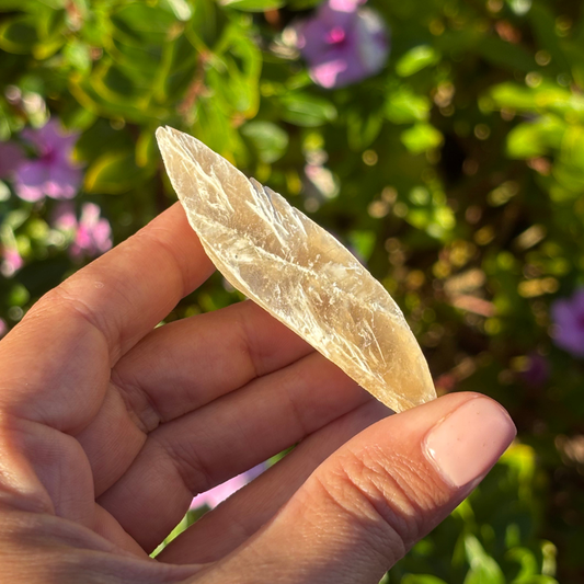 Golden Selenite (UV Reactive) - Morocco