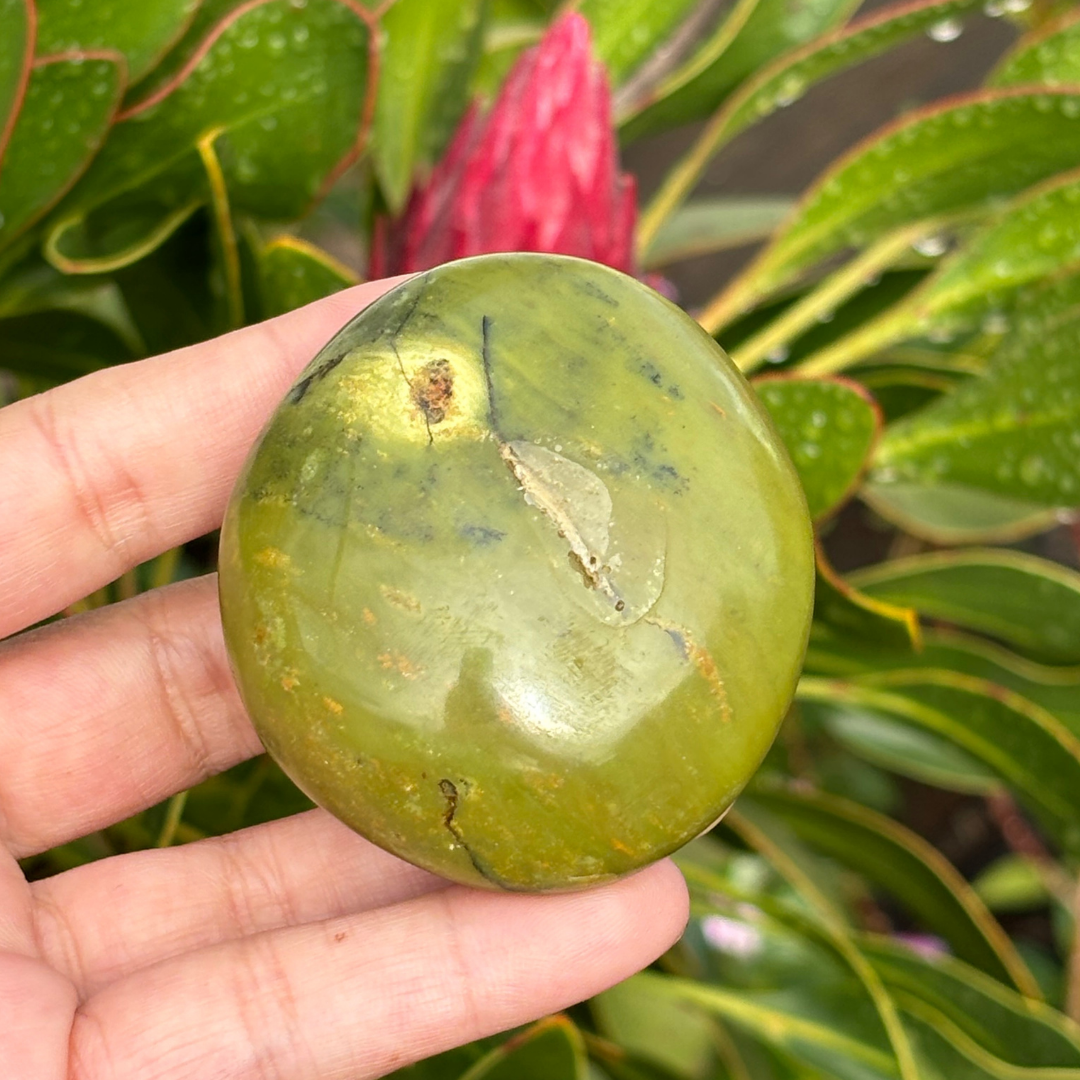 Green Opal Palm Stone