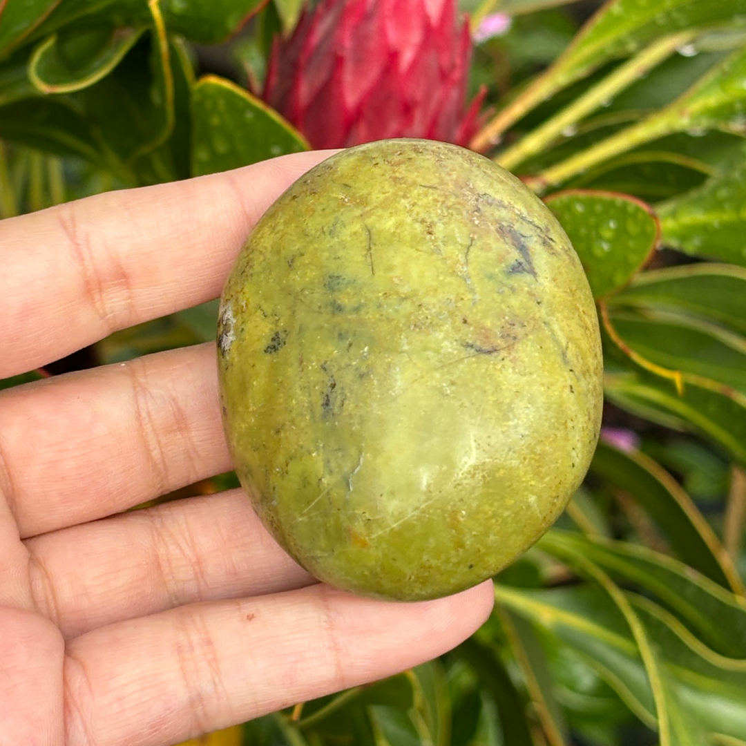 Green Opal Palm Stone