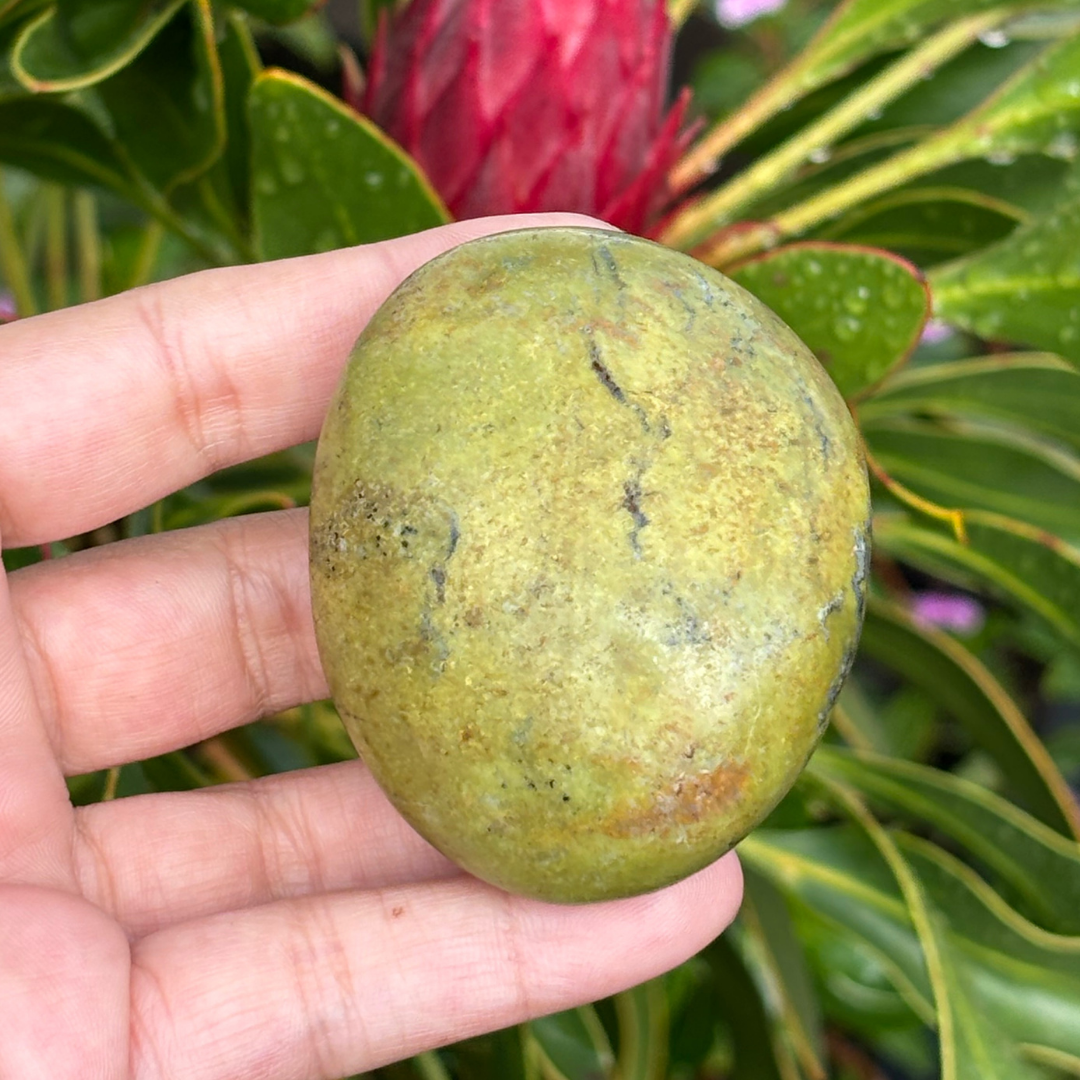 Green Opal Palm Stone