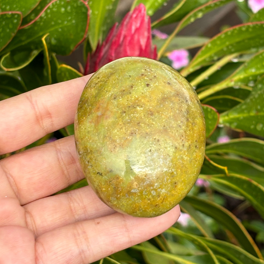 Green Opal Palm Stone