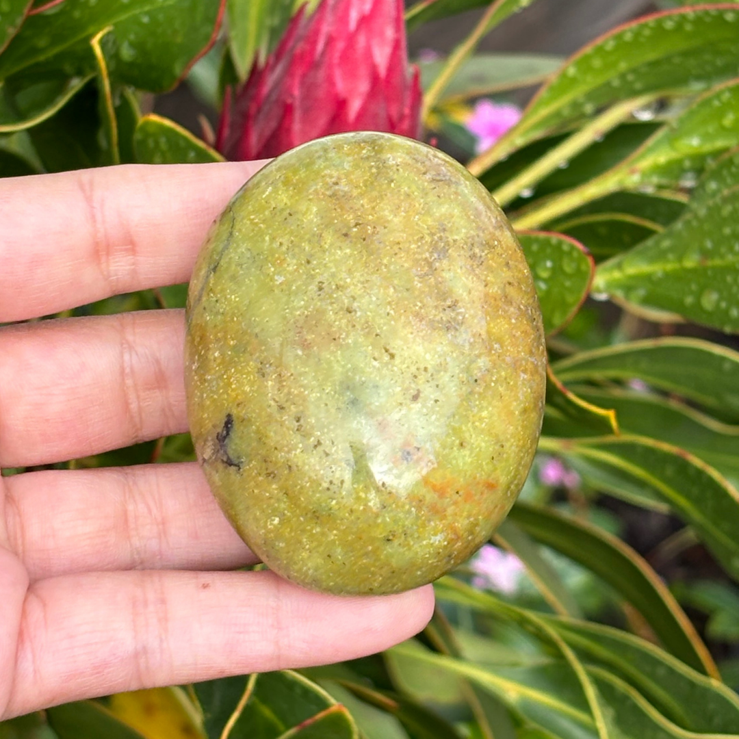 Green Opal Palm Stone