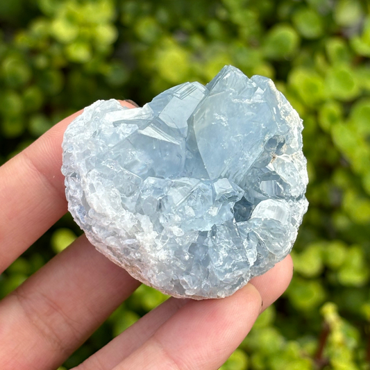 Celestite (aka Celestine) Cluster