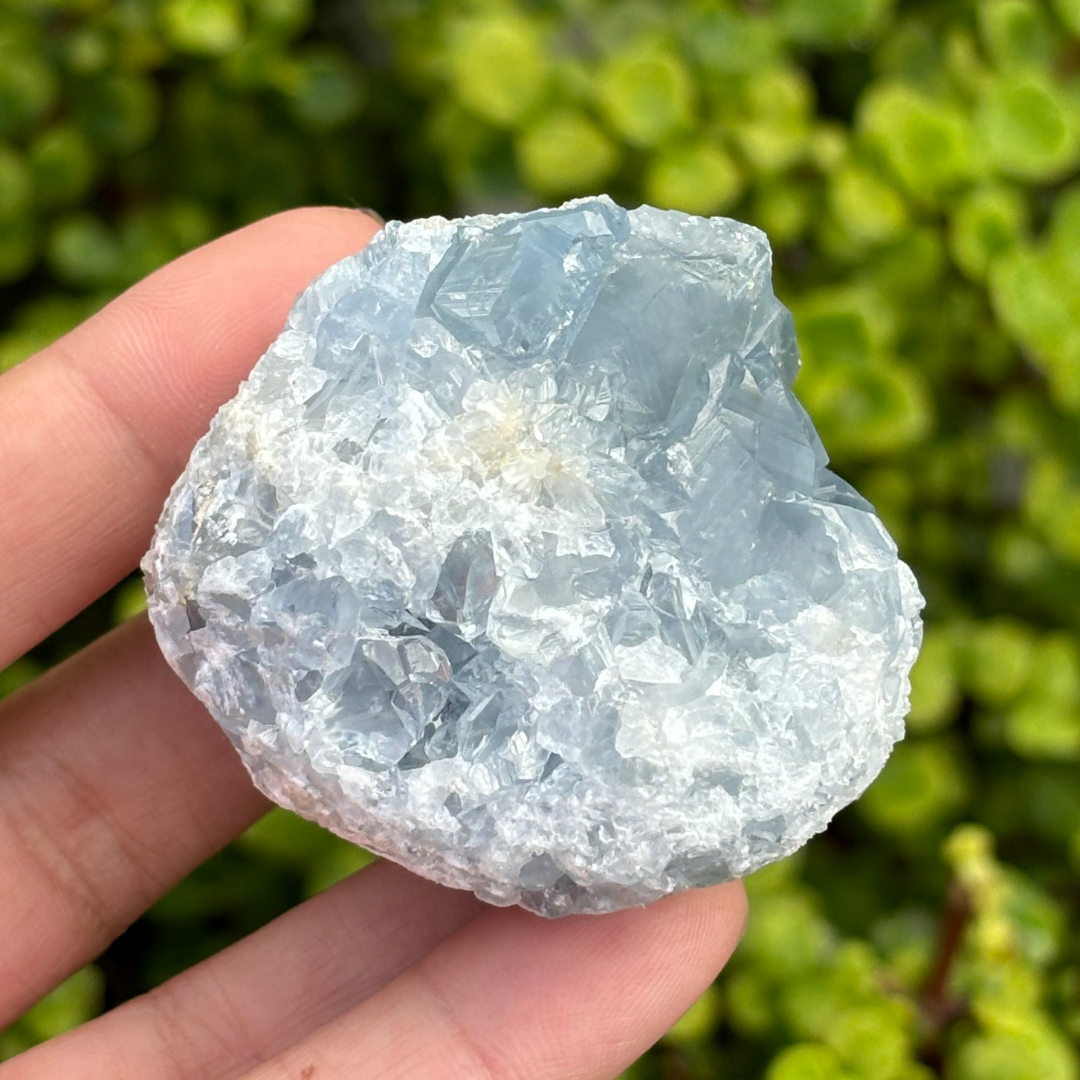 Celestite (aka Celestine) Cluster
