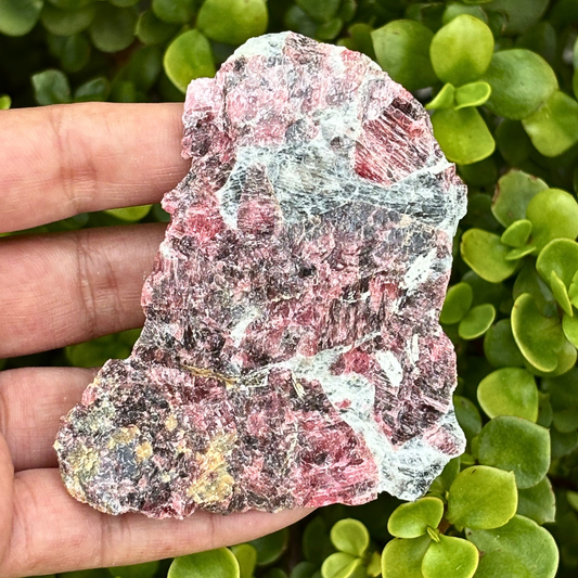 Rhodonite Natural Piece