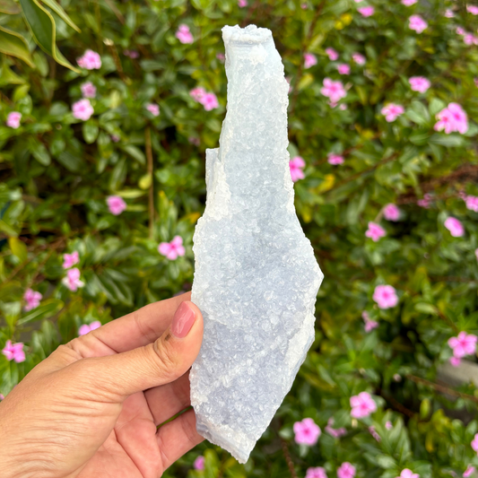 Blue Lace Agate Etched Cluster Specimen