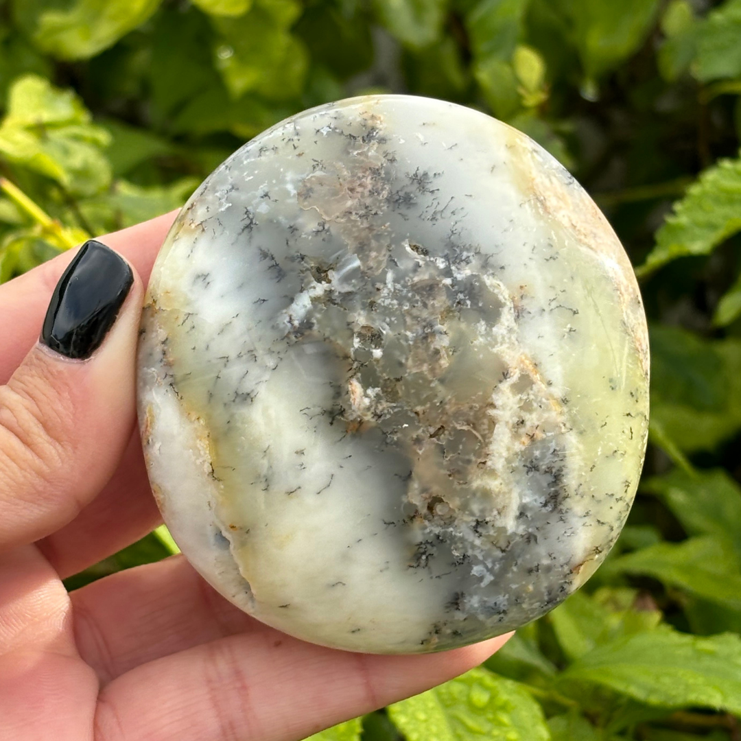 Dendritic Opal Palm Stone
