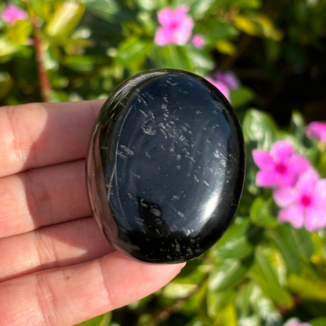 Black Tourmaline Palm Stone