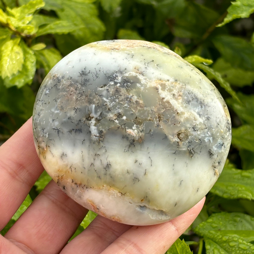 Dendritic Opal Palm Stone