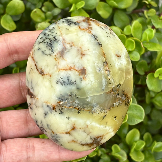 Dendritic Opal Palm Stone - Large