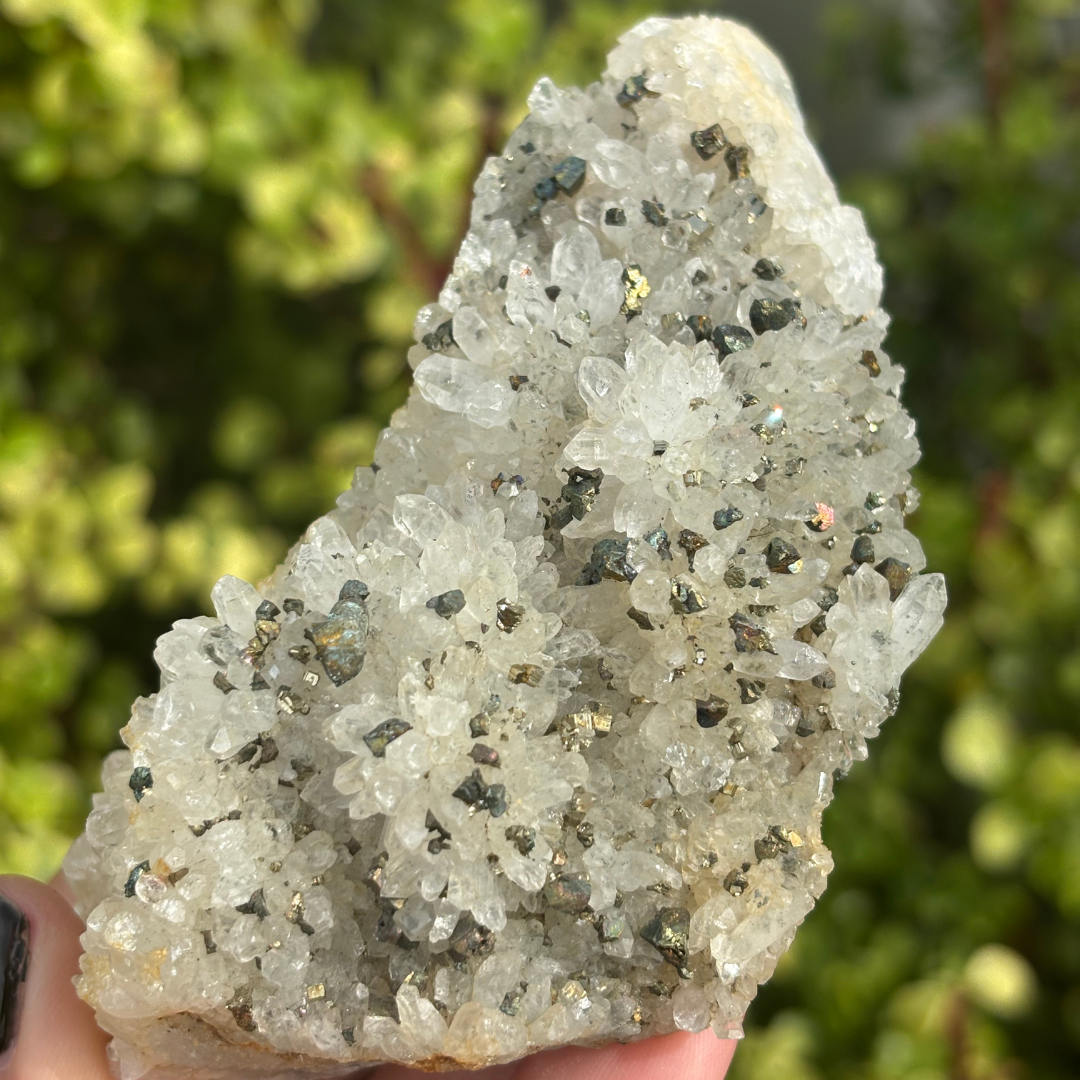 Quartz Cluster with Chalcopyrite