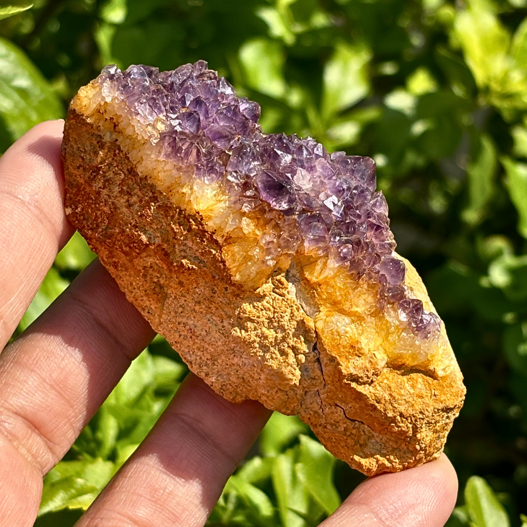 Amethyst Cluster - RSA (A Grade)