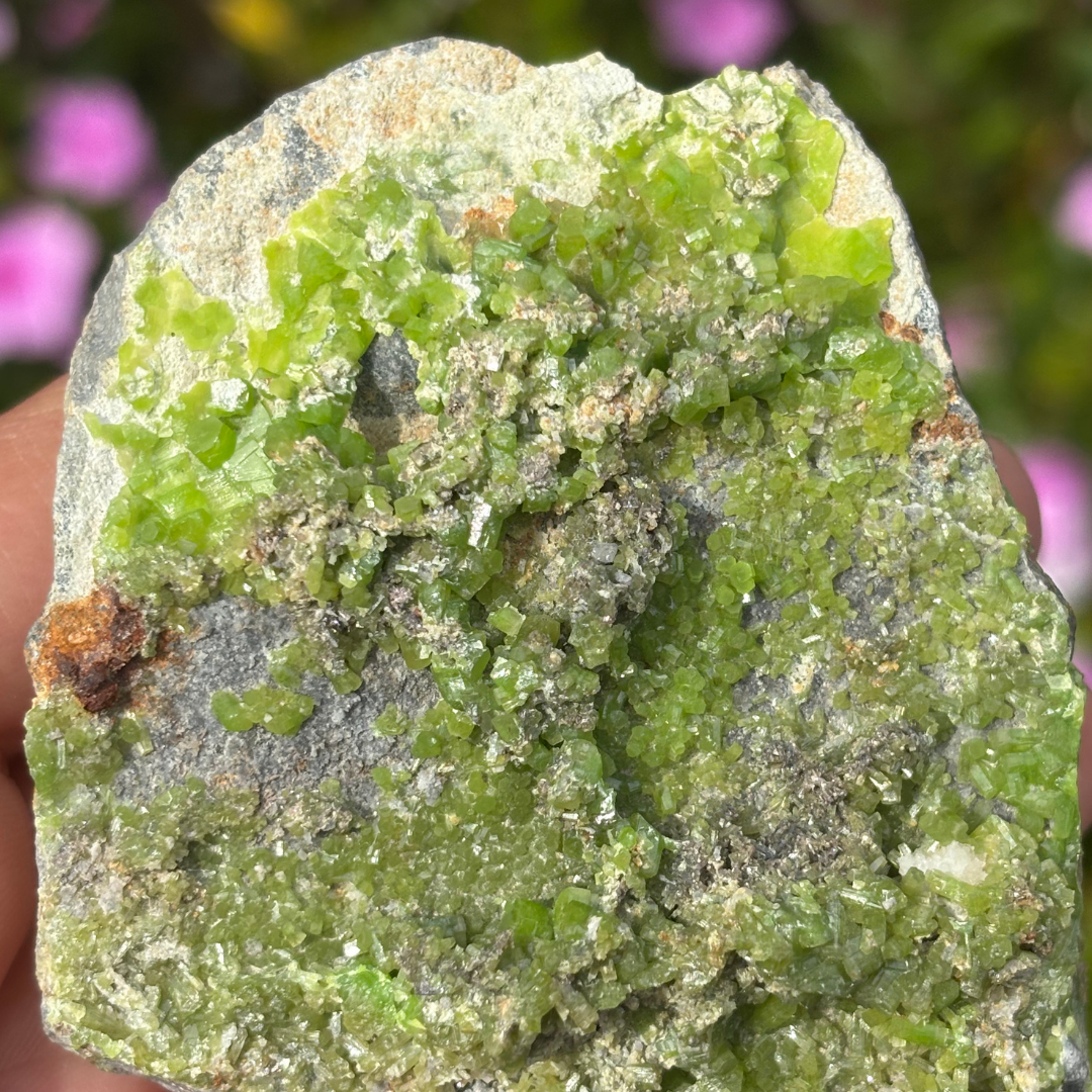 Pyromorphite Specimen