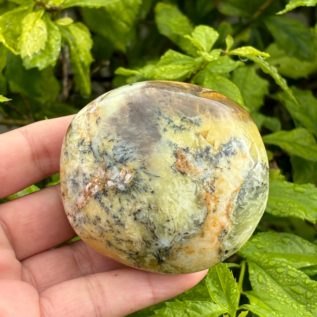 Dendritic Opal Palm Stone