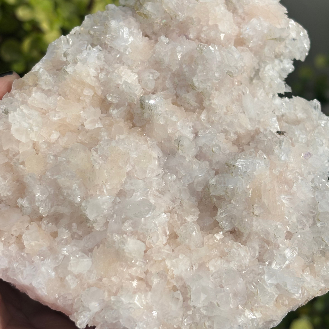 Manganoan Calcite with Purple Fluorite (UV Reactive)