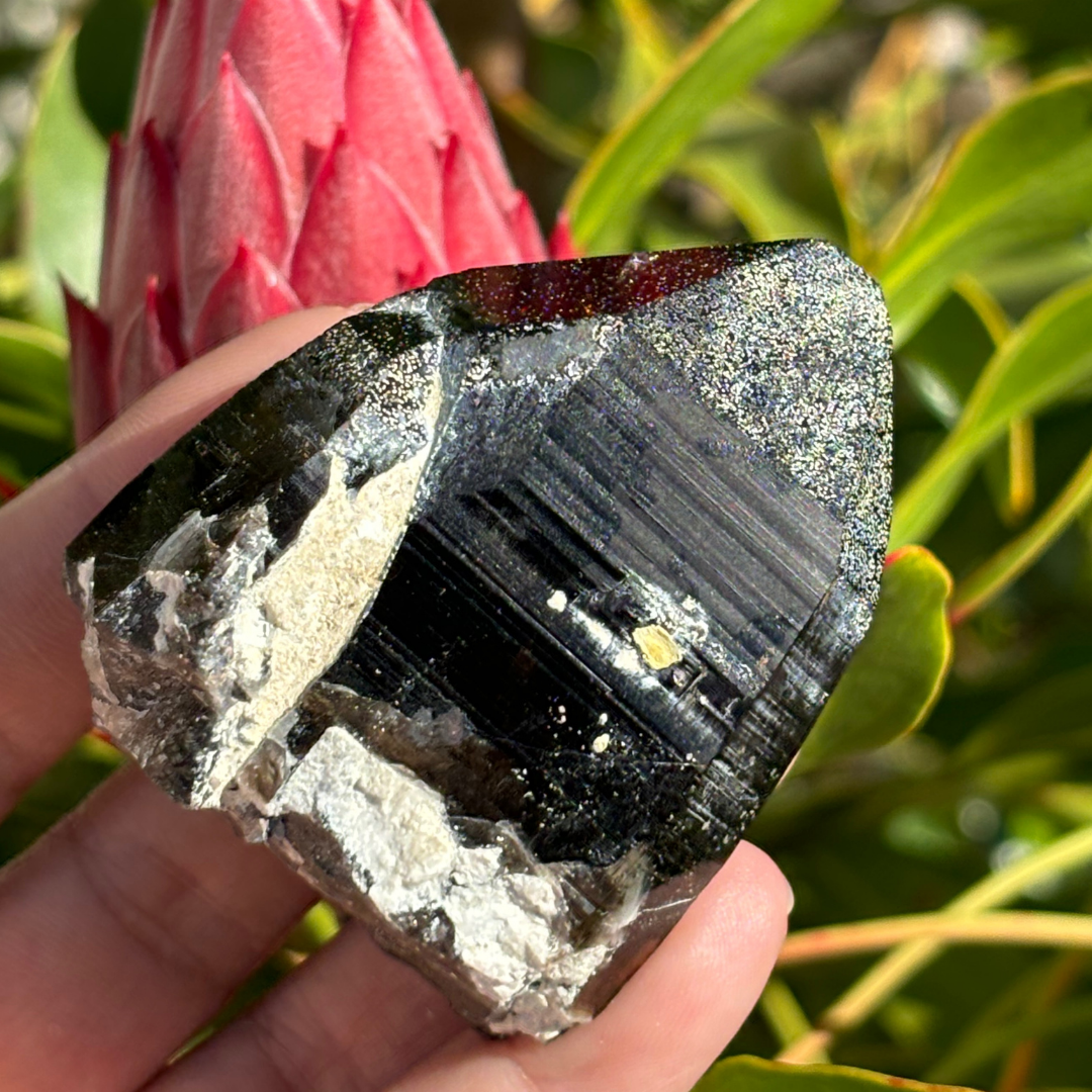 Smoky Quartz Point - A Grade