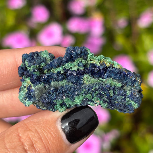 Gemmy Azurite with Malachite Specimen