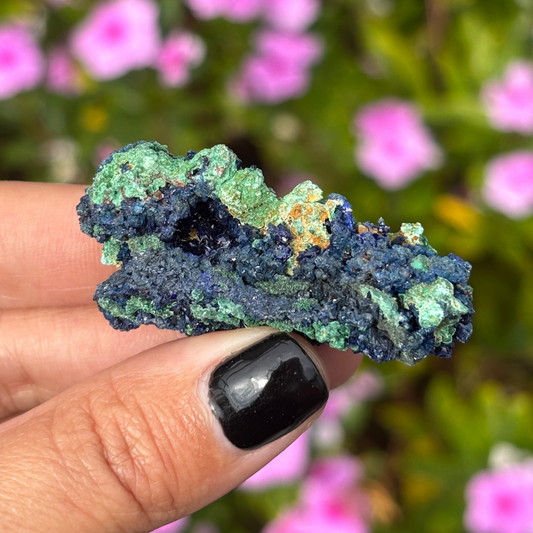 Gemmy Azurite with Malachite Specimen