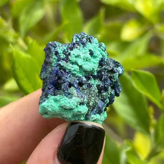 Gemmy Azurite with Malachite Specimen