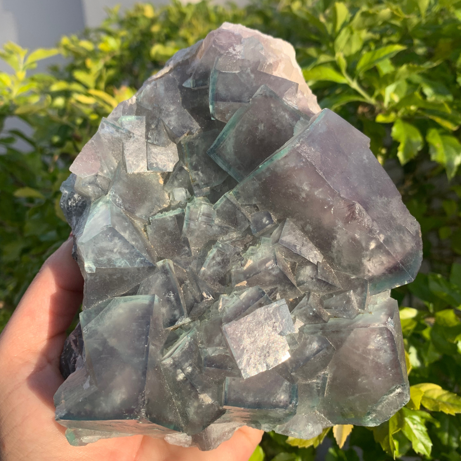 Fluorite Specimen - Phantom & UV Reactive - Colour Changing