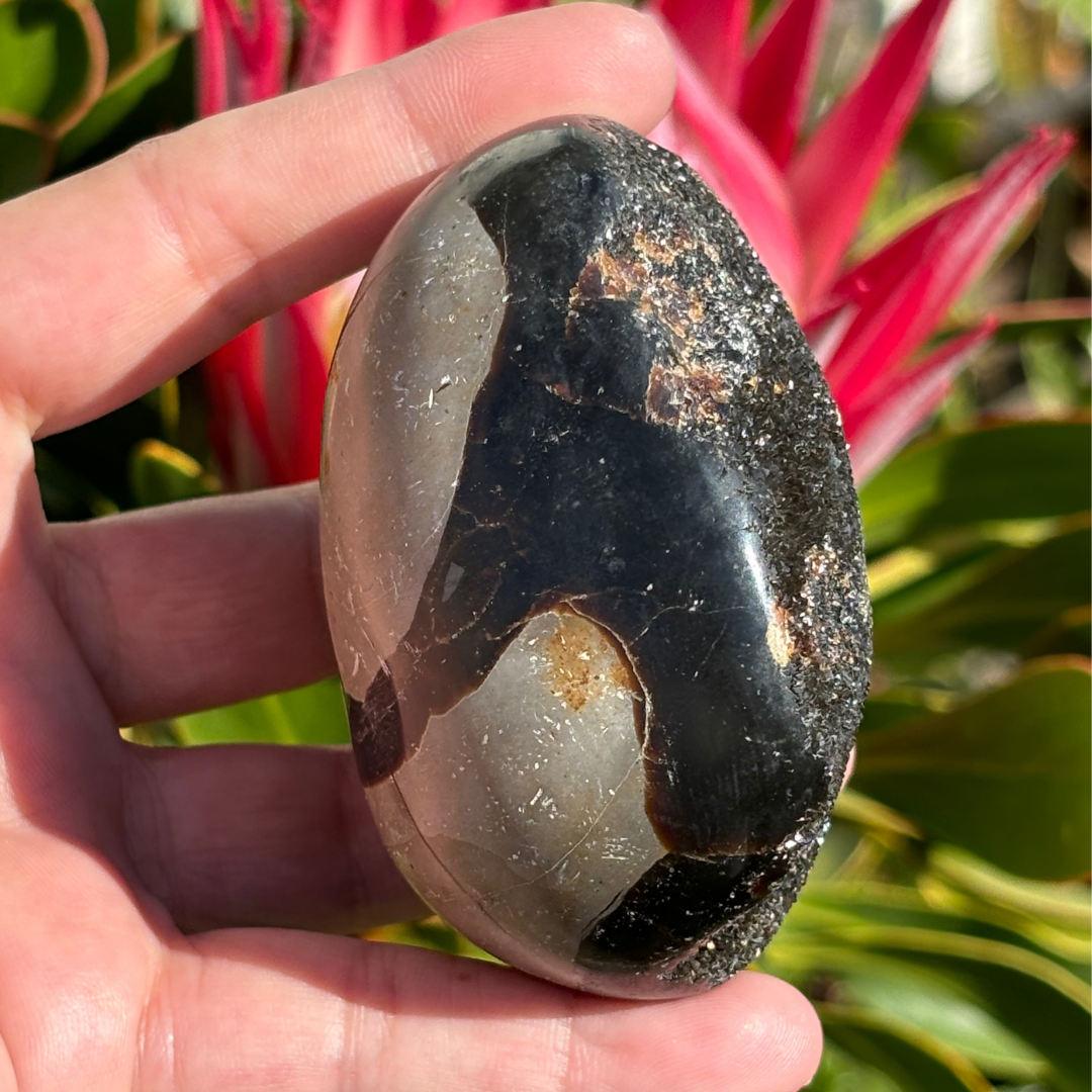 Septarian Geode (Dragon Egg)