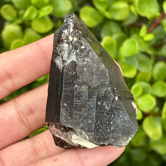 Smoky Quartz Point - A Grade