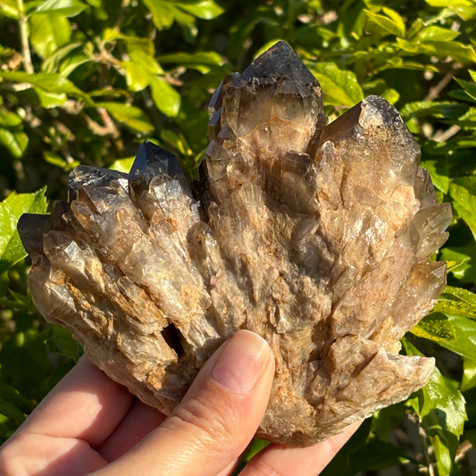 Kundalini Smoky Citrine Quartz Cluster
