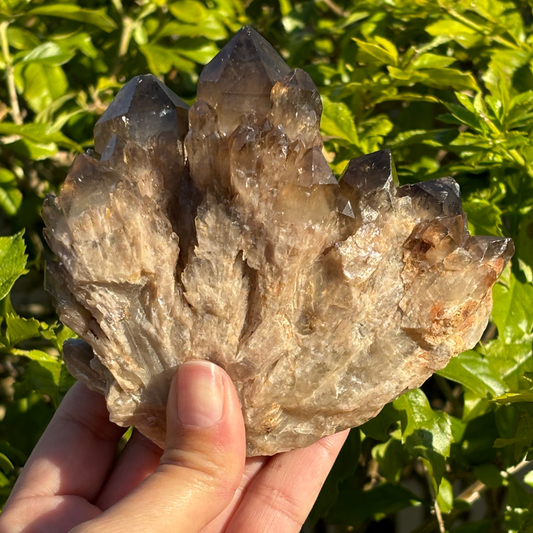 Kundalini Smoky Citrine Quartz Cluster