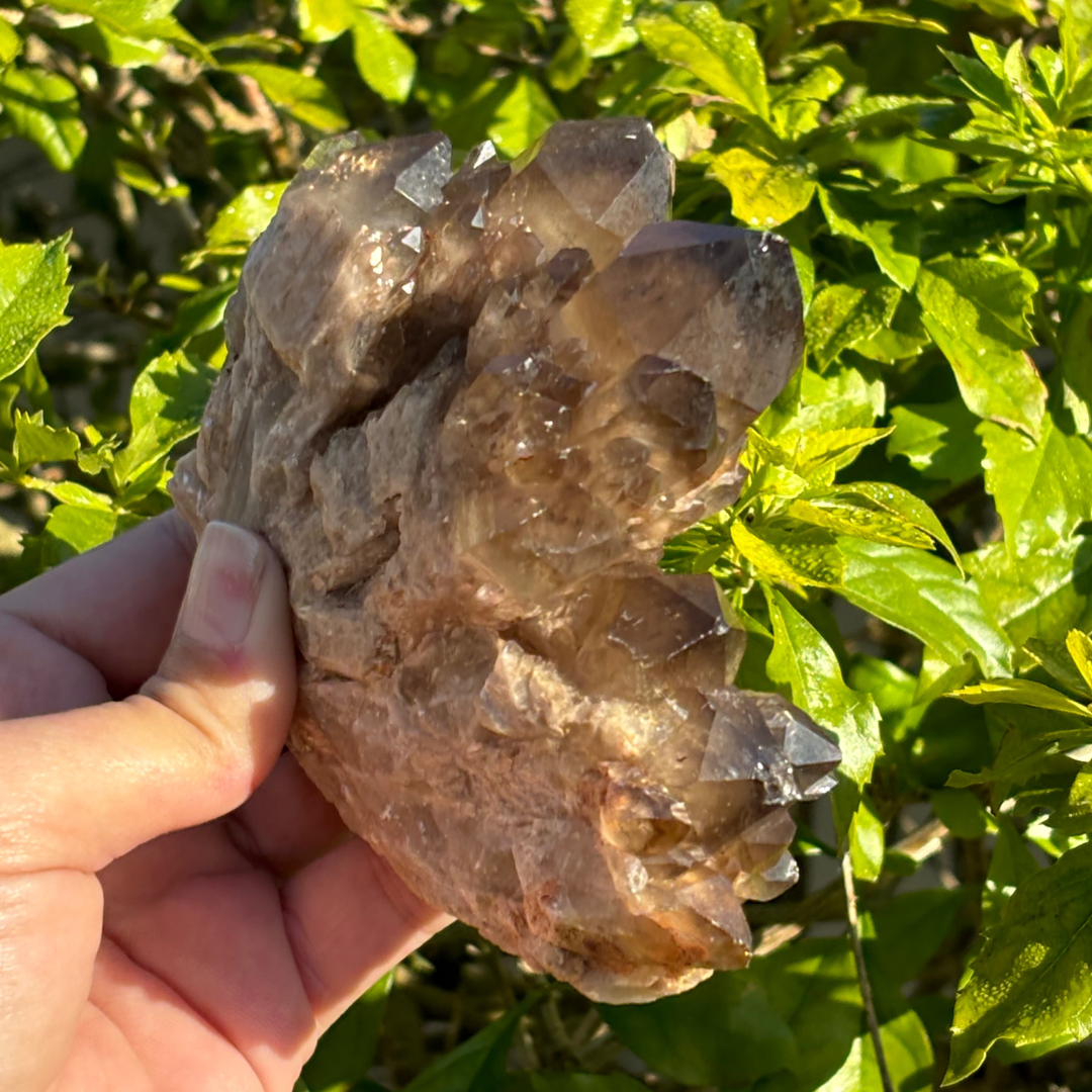 Kundalini Smoky Citrine Quartz Cluster