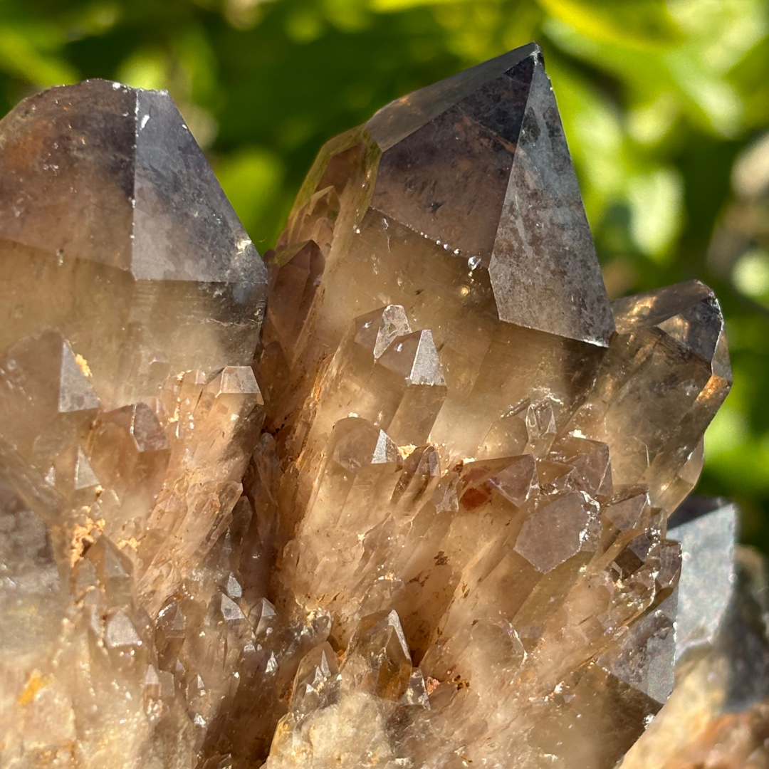 Kundalini Smoky Citrine Quartz Cluster