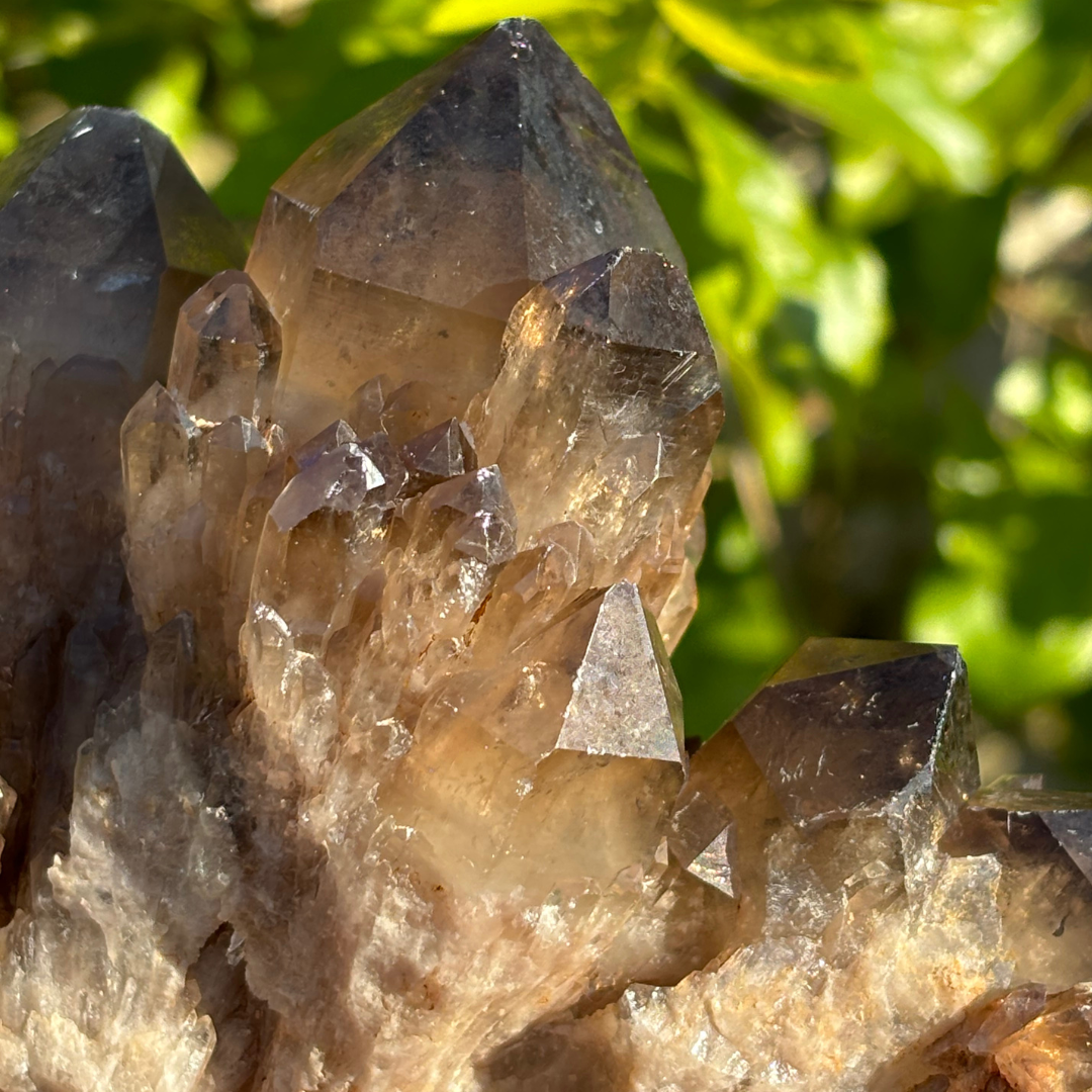 Kundalini Smoky Citrine Quartz Cluster