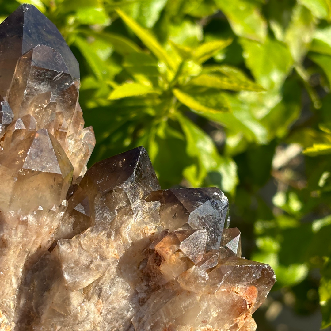 Kundalini Smoky Citrine Quartz Cluster