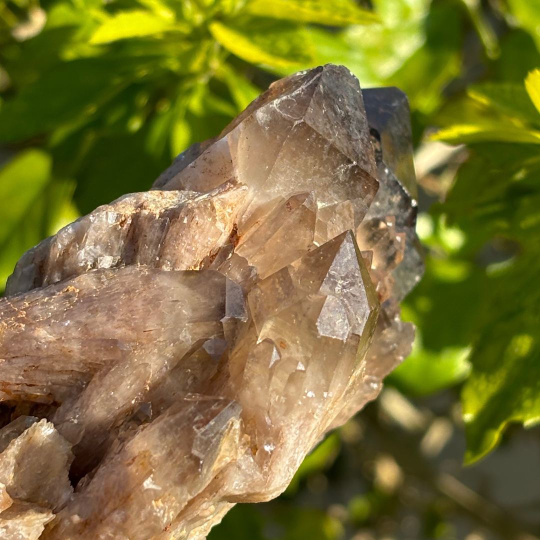 Kundalini Smoky Citrine Quartz Cluster