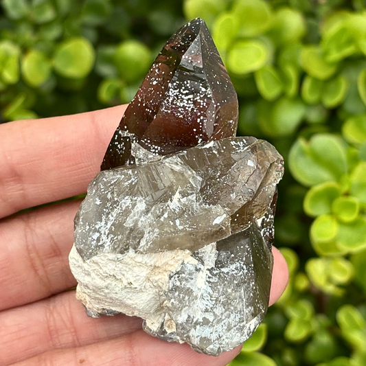 Smoky Quartz Point - A Grade