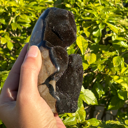 Septarian Geode (Dragon Egg) Self Standing