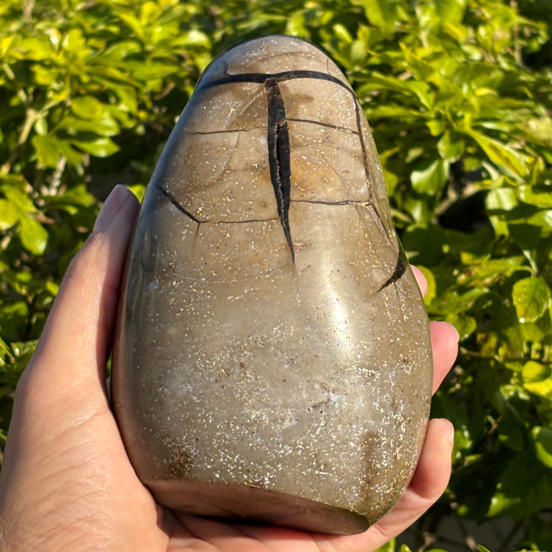 Septarian Geode (Dragon Egg) Self Standing