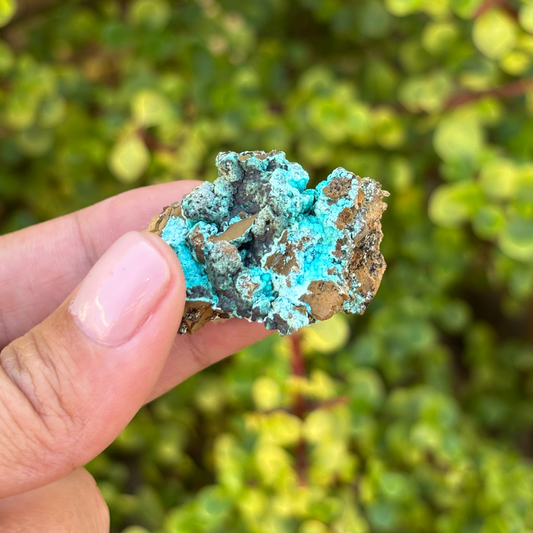 Aurichalcite Specimen