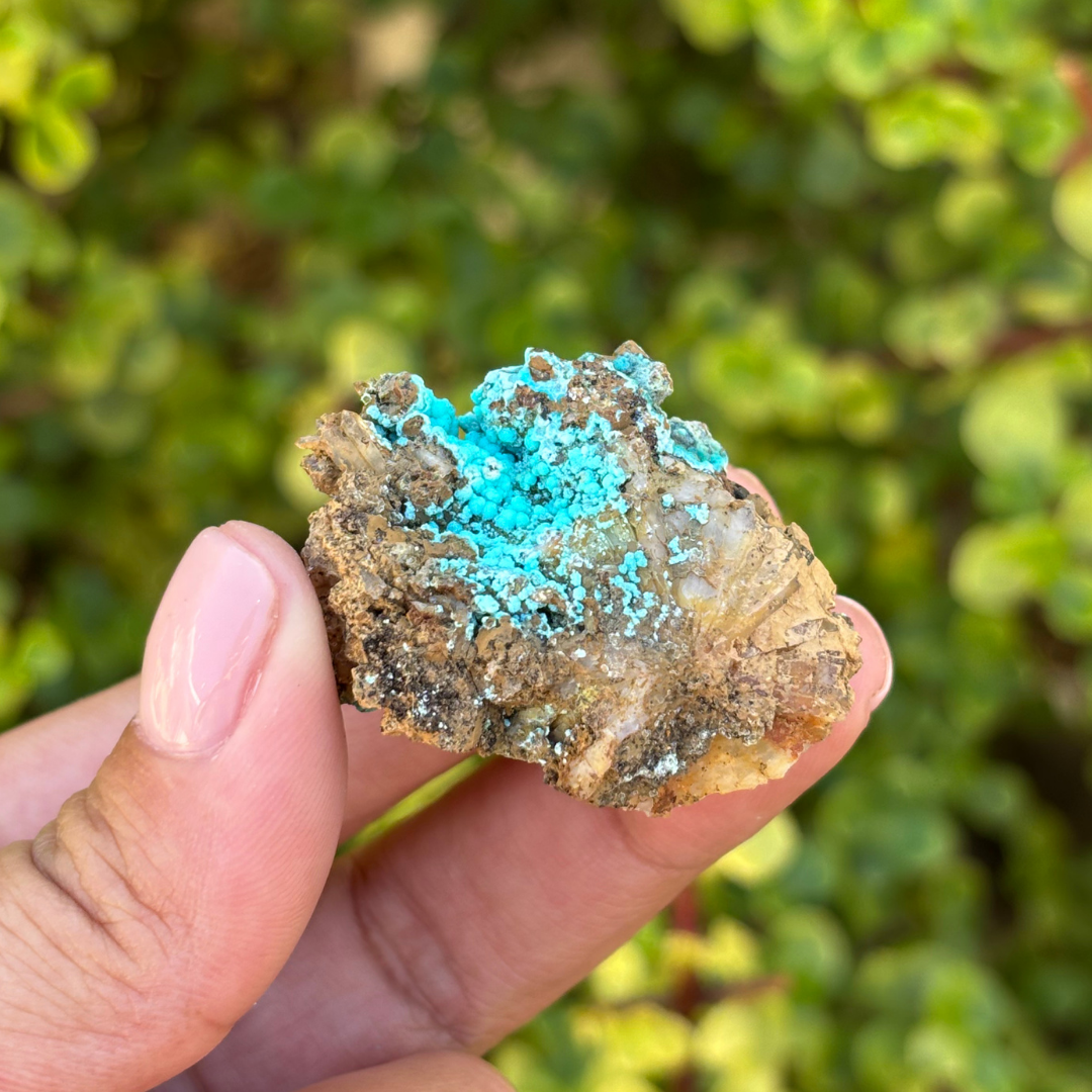 Aurichalcite Specimen