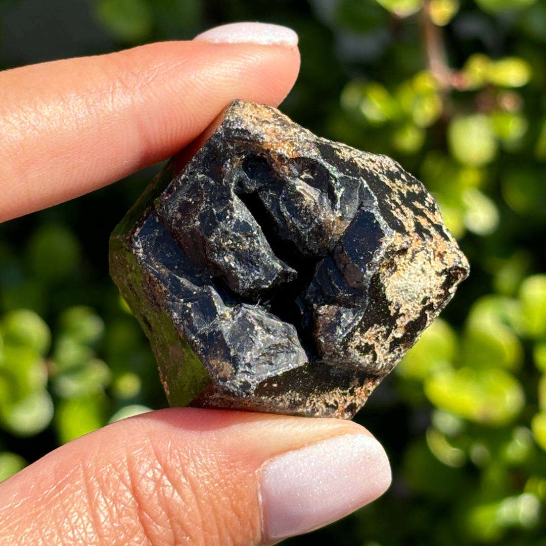Black Garnet (Melanite) var. Andradite