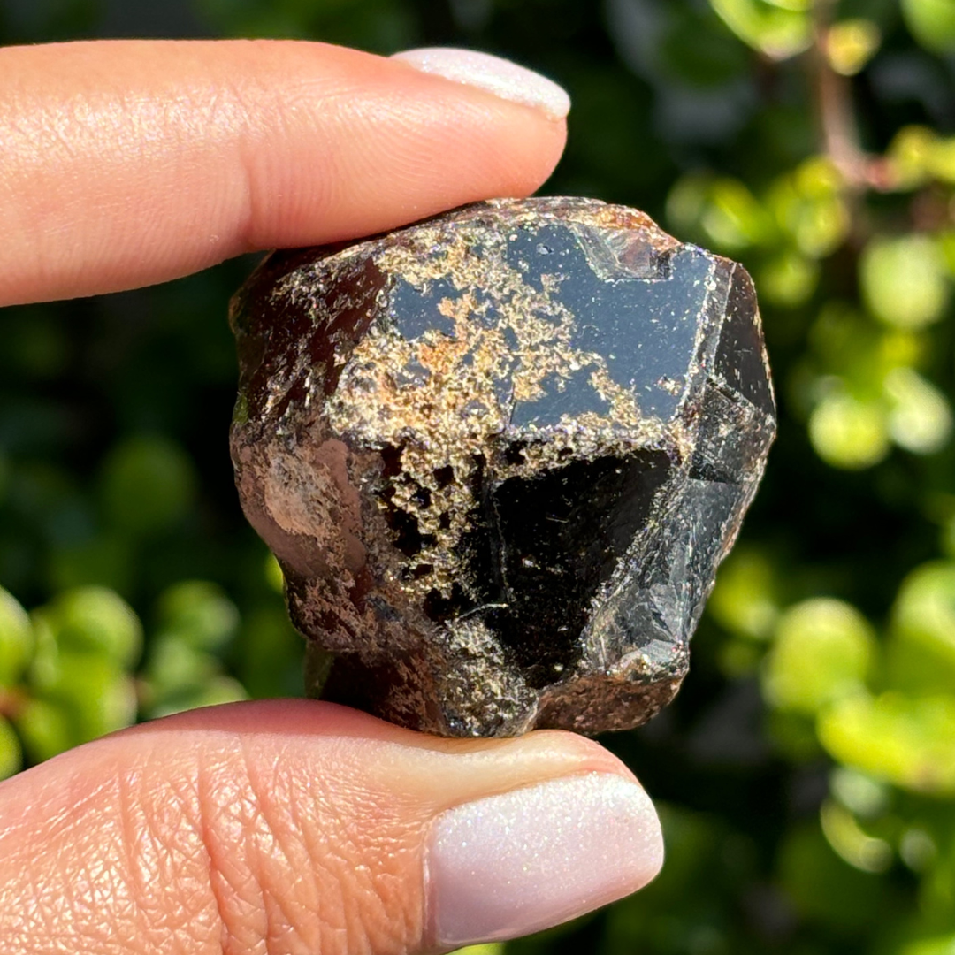 Black Garnet (Melanite) var. Andradite