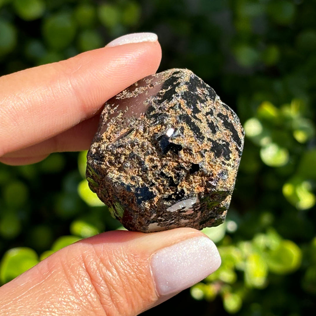 Black Garnet (Melanite) var. Andradite