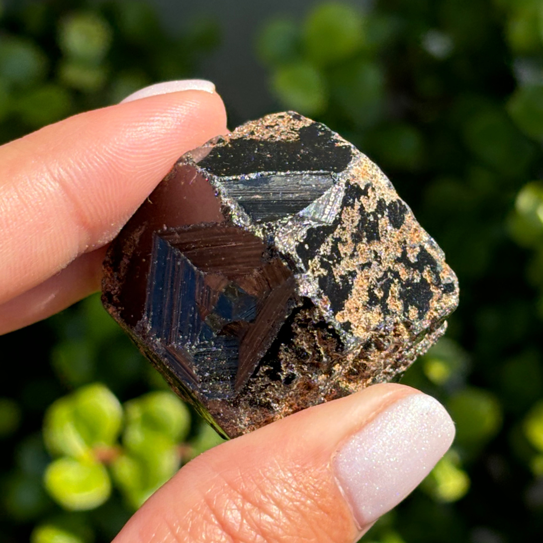 Black Garnet (Melanite) var. Andradite