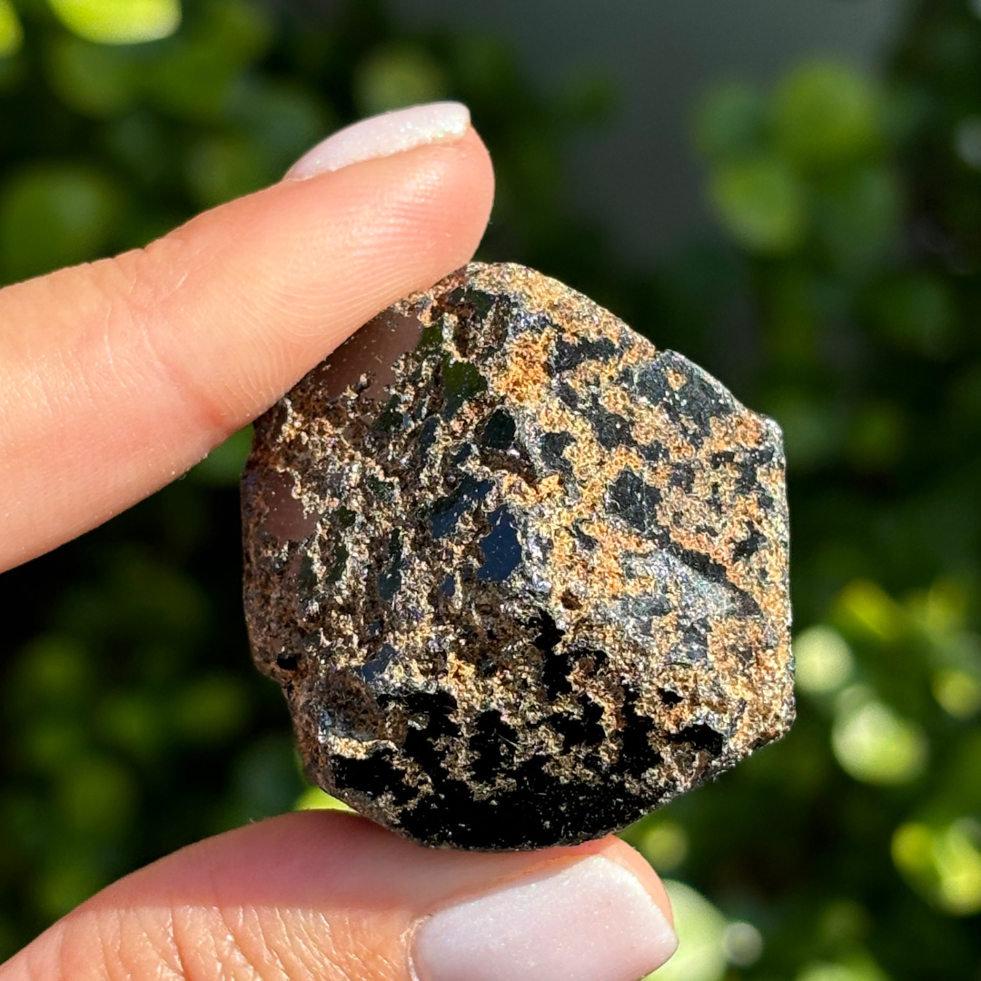 Black Garnet (Melanite) var. Andradite