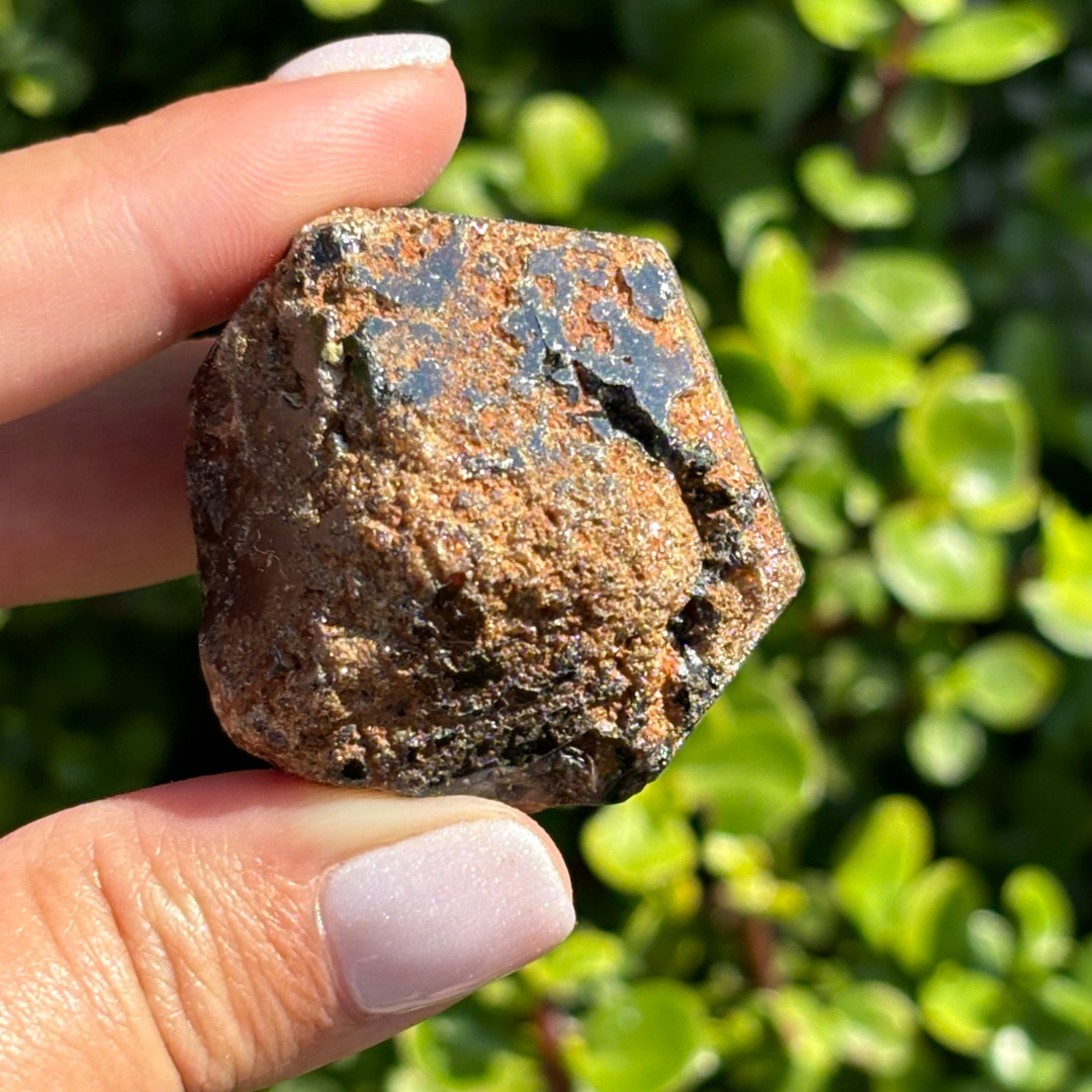 Black Garnet (Melanite) var. Andradite