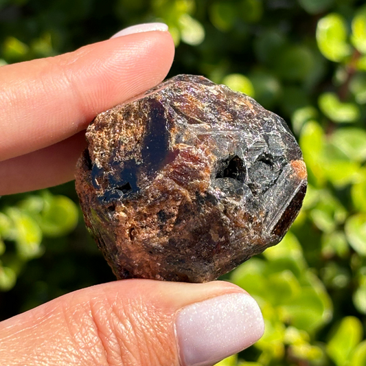 Black Garnet (Melanite) var. Andradite
