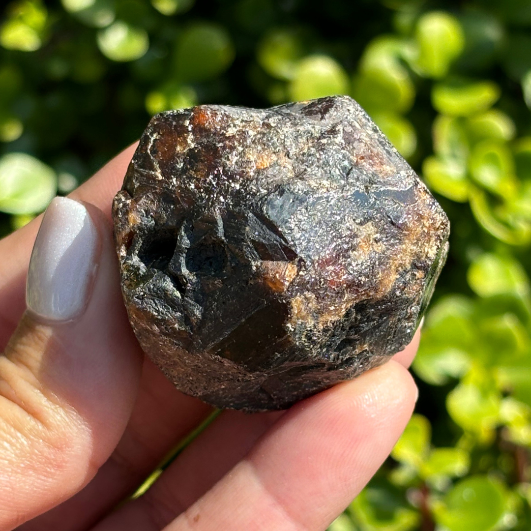 Black Garnet (Melanite) var. Andradite